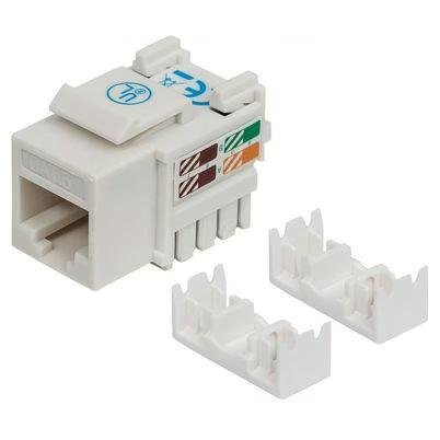 Jack Keystone Intellinet Rj45 Cat6 De Impacto Color Blanco