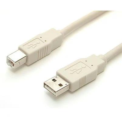 Startech.Com Usbfab_6 Cable Usb Usb 2.0 1, 8 M Usb A Usb B Beige