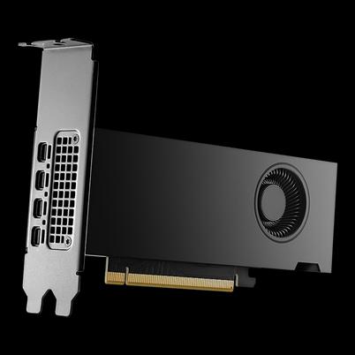 Tarjeta De Video Pny Pro Nvidia Rtx2000 Ada Generation 16gb Low Profile Single Fan Gddr6 Pcie 4.0 4xminidp